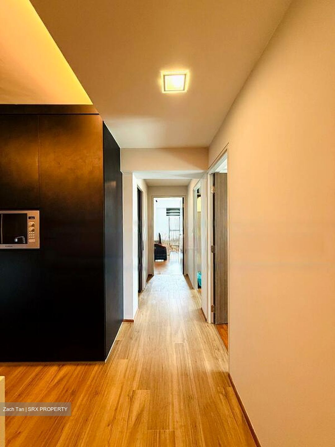 Blk 1A The Pinnacle@Duxton (Bukit Merah), HDB 4 Rooms #534937961